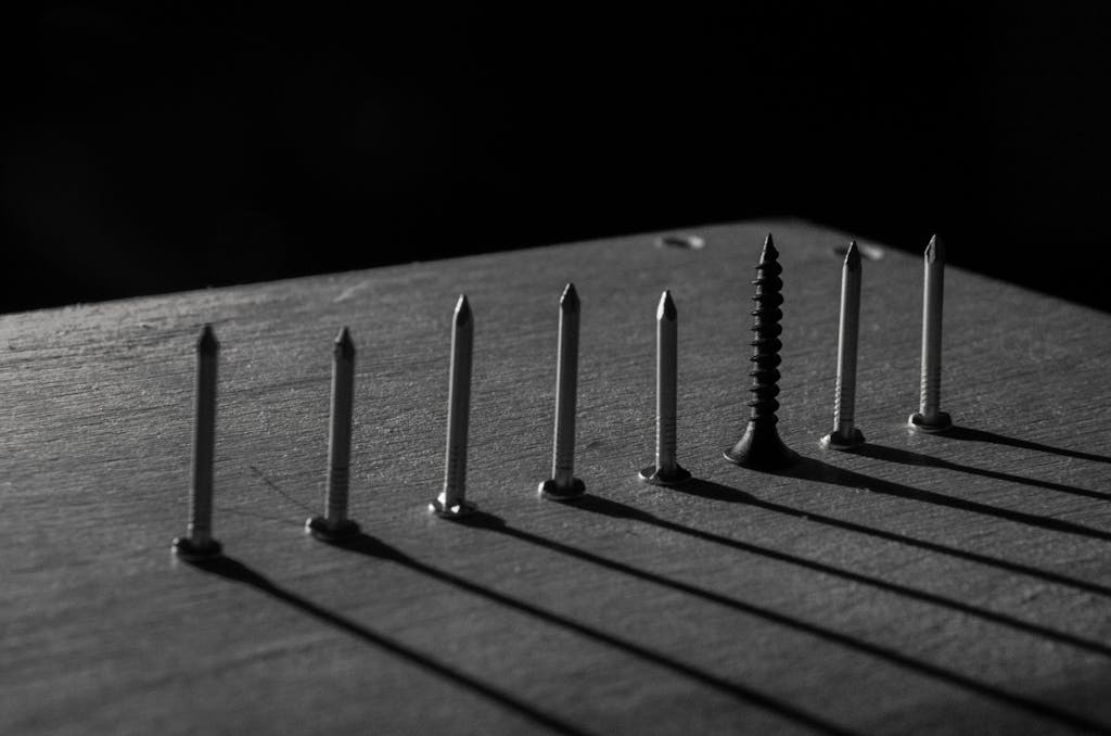 Monochrome image of nails and a screw casting shadows on wood.